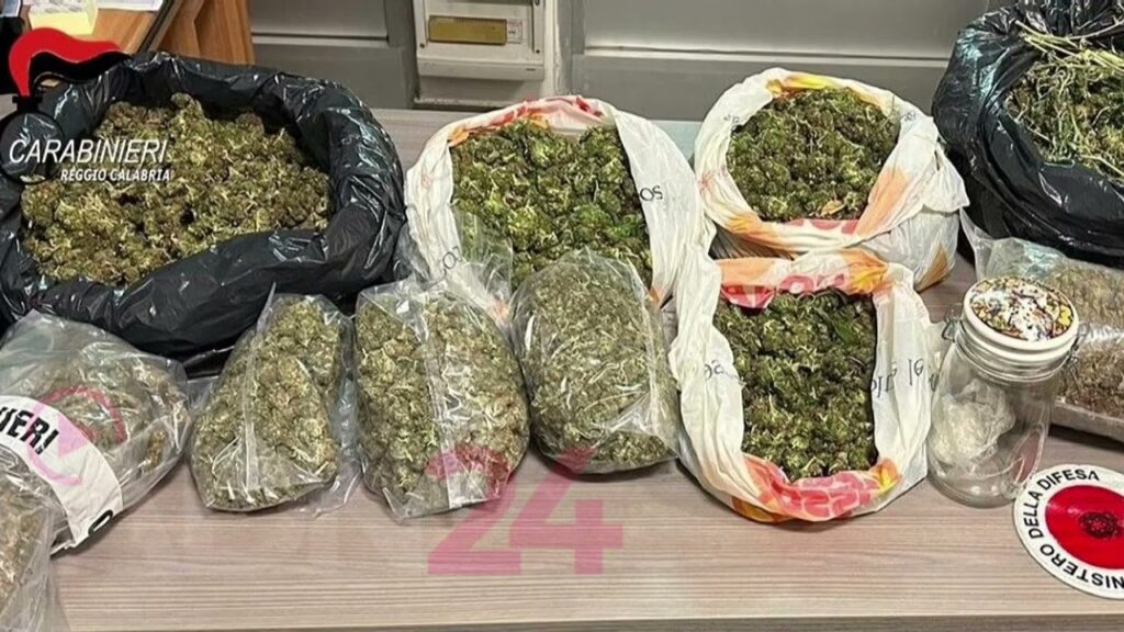 adn24 trovato in casa con 10 chili di marijuana arrestato 19enne | video