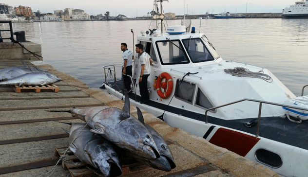 adn24 termoli cb | sequestro di unimbarcazione da diporto di 22 mt adibita ad uso commerciale