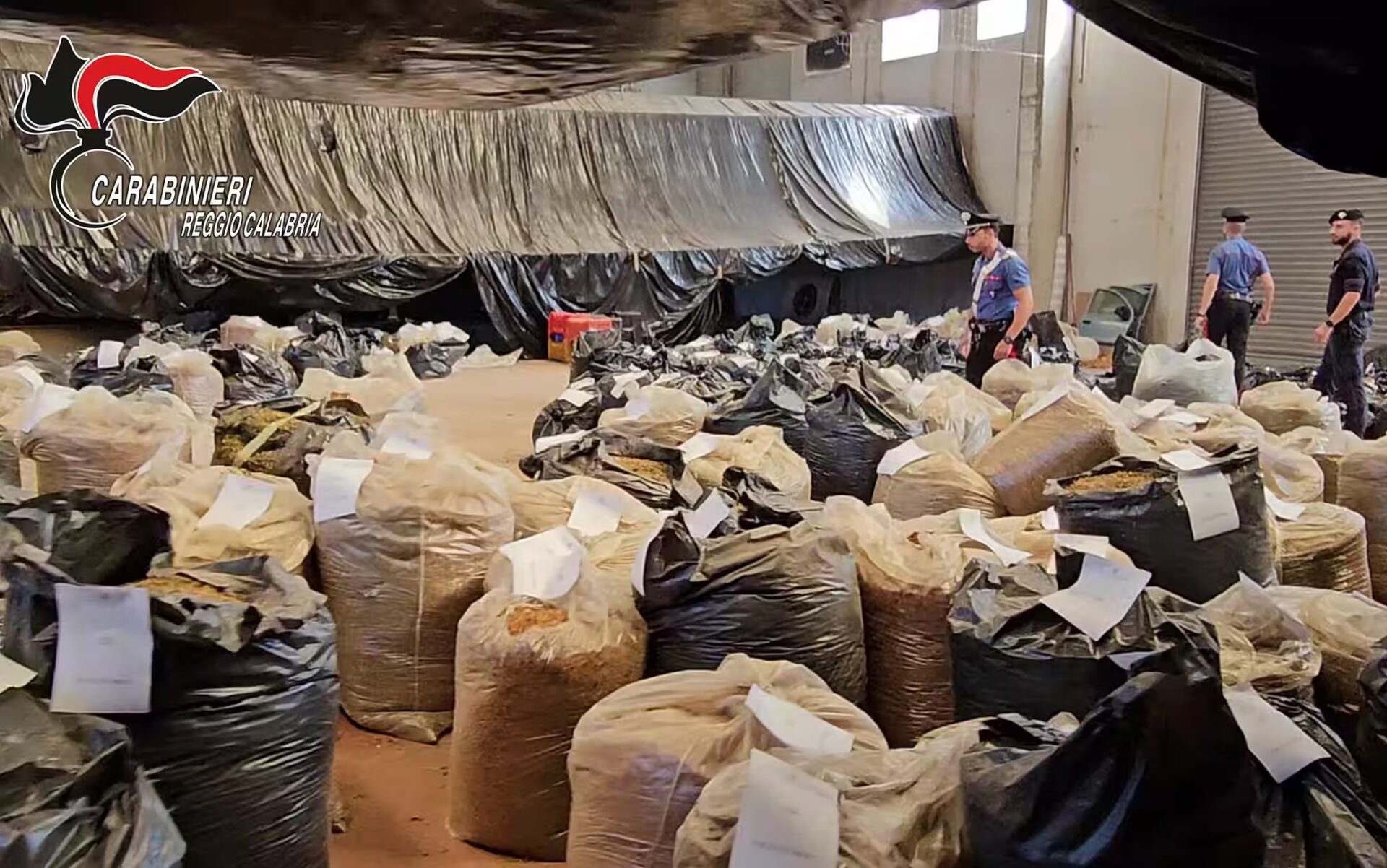  ‣ adn24 gioia tauro (rc) | sequestrate 3 tonnellate di droga - video