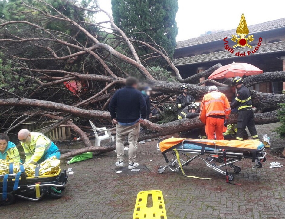 adn24 montecatini terme pt | pino cade nel parco di un centro termale 7 feriti