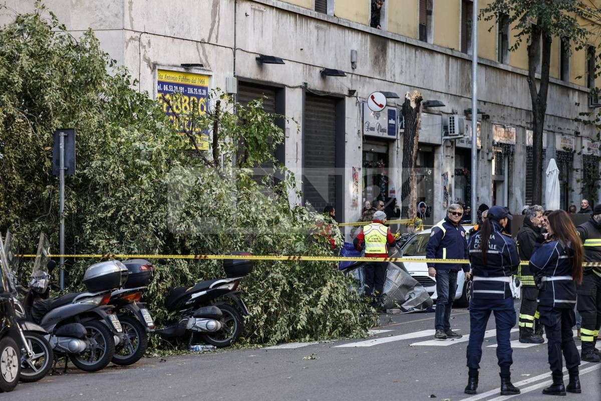 adn24 roma | cade un albero in zona gianicolense muore una 82enne