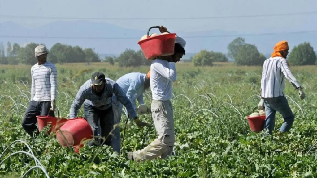 adn24 reggio calabria | sfruttamento del lavoro immigrazione illegale video