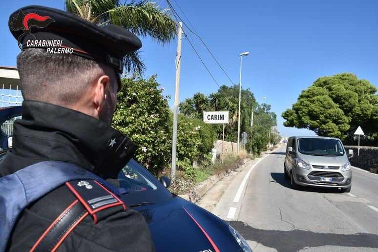 adn24 carini sicilia | droga scoperta piantagione un arresto e una denuncia