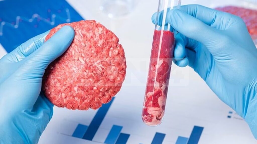 adn24 anche gli stati uniti iniziano a vietare la carne coltivata