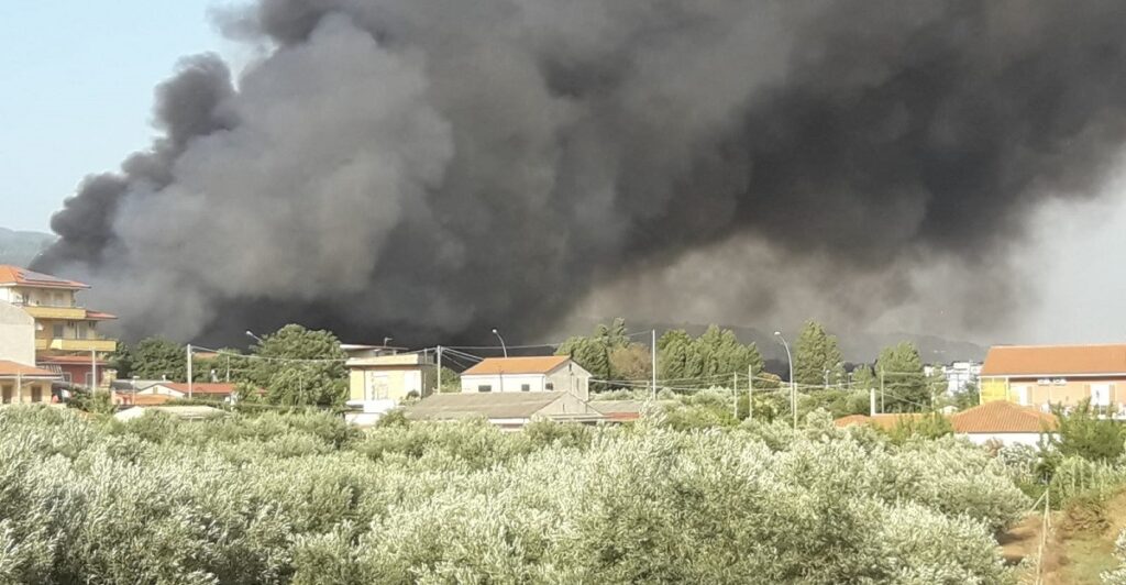 adn24 palermo | incendio boschivo arrestato 26enne