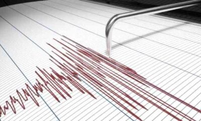  ‣ adn24 terremoto di magnitudo 3.6 nel sudovest della calabria, epicentro vicino rizziconi
