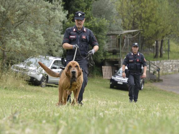 adn24 vergato bo | tentato omicidio nel giardino di casa fermato 55enne calabrese