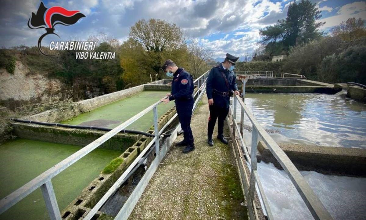 adn24 catanzaro vibo cosenza | maxi operazione contro inquinamento ambientale arresti in corso