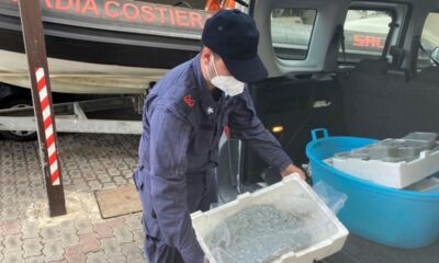  ‣ adn24 palermo | maxi operazione della guardia costiera: sequestrate oltre 3 tonnellate di pesce senza tracciabilità