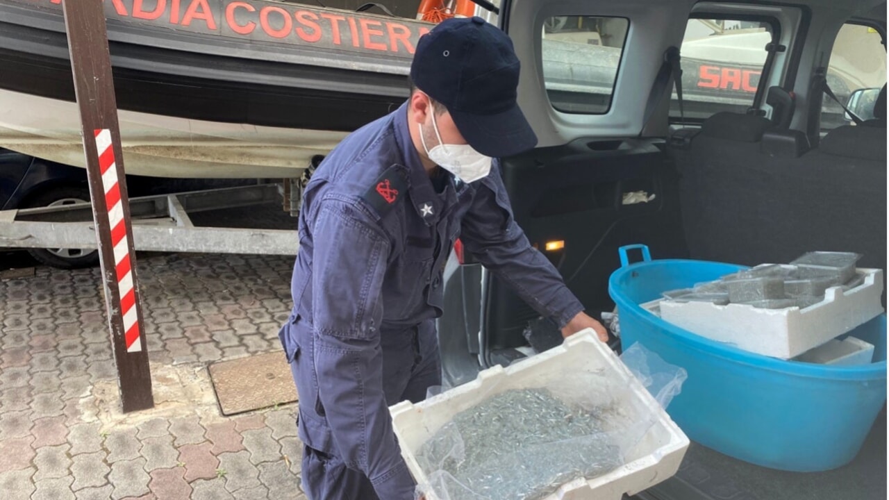 adn24 palermo | maxi operazione della guardia costiera sequestrate oltre 3 tonnellate di pesce senza tracciabilità