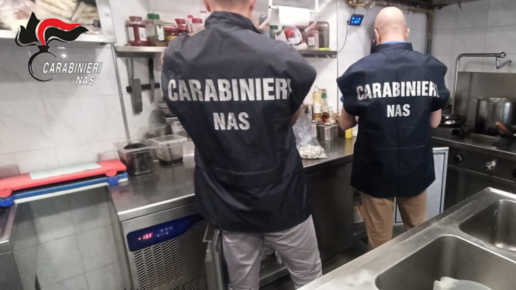 adn24 bologna | topi morti cibo scaduto e sporcizia orrori scoperti dal nas nei ristoranti storici foto