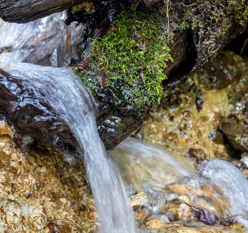 adn24 imperia| nasce goccia a goccia un progetto transfrontaliero da 2 milioni di euro per preservare il consumo di acqua dolce