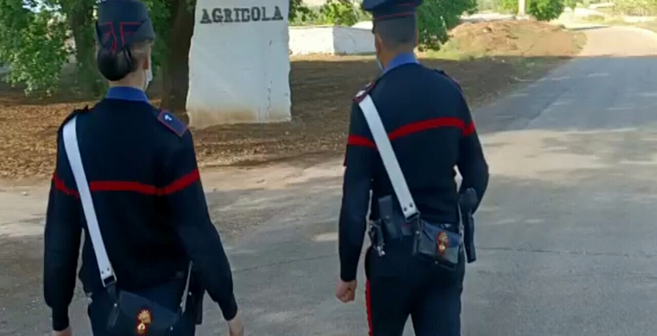  ‣ adn24 crotone | truffa dei finti carabinieri a un'anziana donna, fermati due napoletani