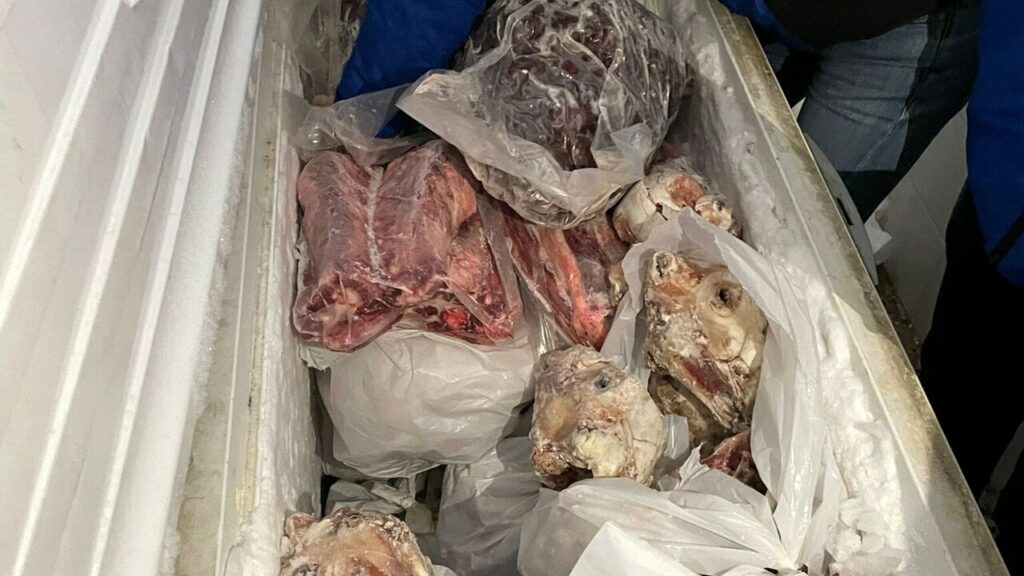 adn24 napoli | sequestrati 8 quintali di carne conservati in pessime condizioni