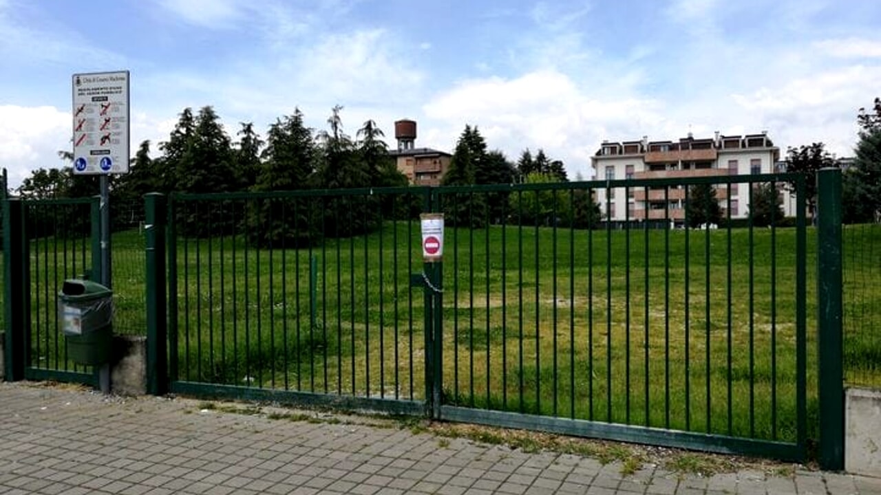 adn24 cesano maderno mb | carcasse di conigli ed esche avvelenate nel parco scatta la chiusura