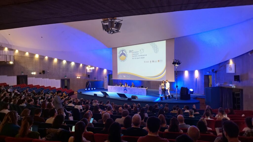 adn24 imperia | il team di delfini del ponente nel cuore della 35ª conferenza annuale della european cetacean society a catania