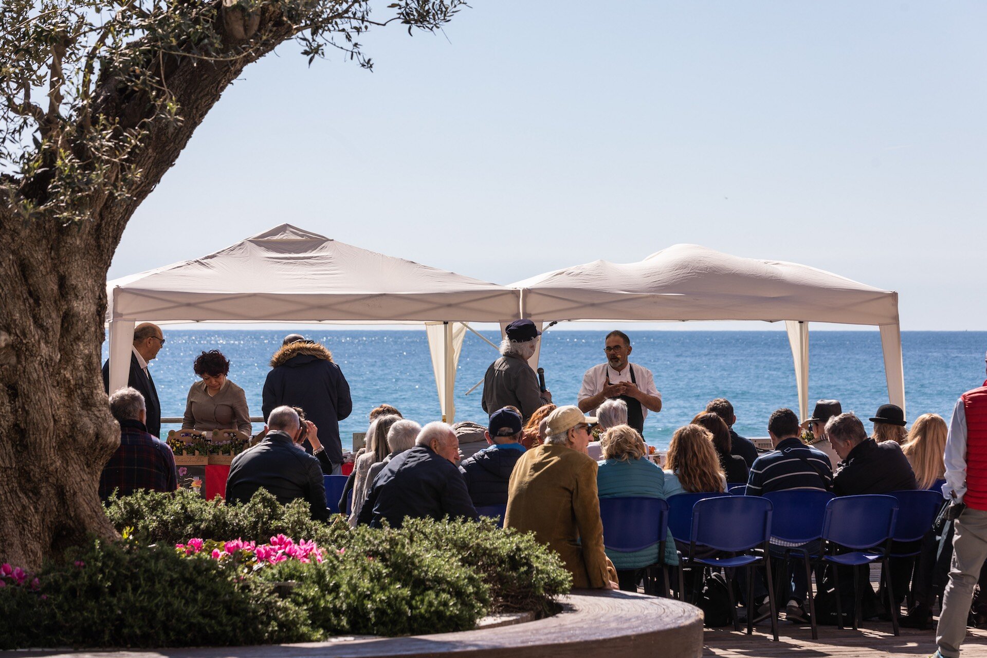 adn24 alassio sv | il festival nazionale della cucina con i fiori torna nella città del muretto