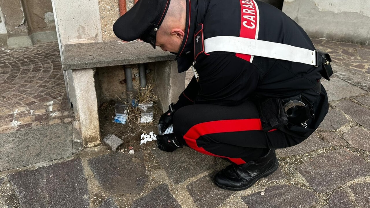 adn24 roma | pusher nascondevano la droga nelle trappole per topi e nei cassonetti dei rifiuti 11 arresti