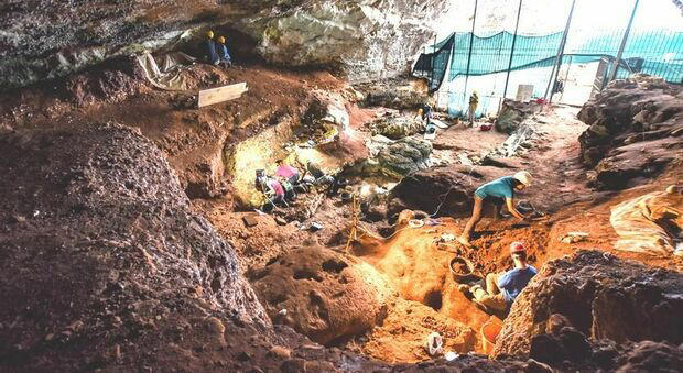 adn24 ritrovato il ritratto dellultimo leone delle caverne europeo nella grotta romanelli in puglia