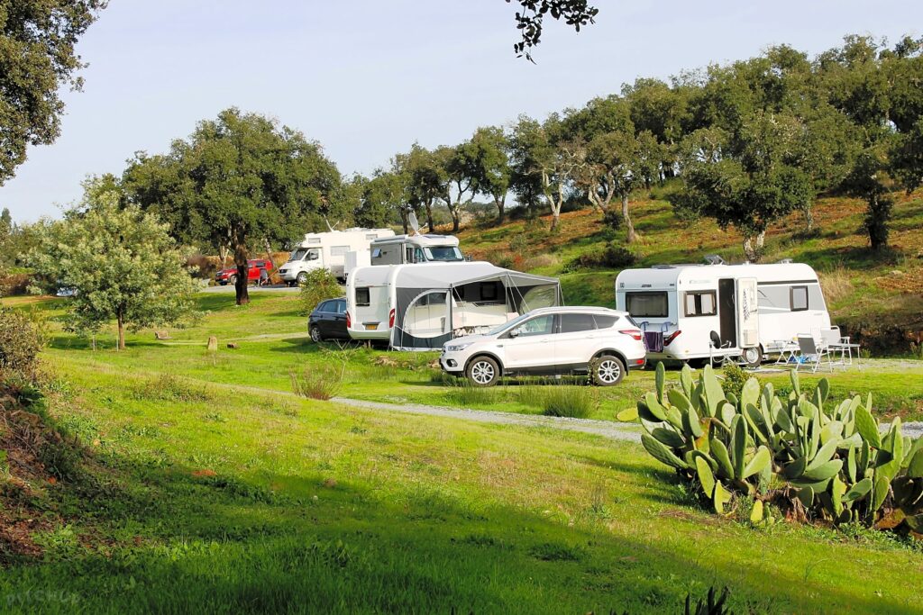 adn24 catania | sequestrato terreno agricolo trasformato in deposito per camper e discarica abusiva