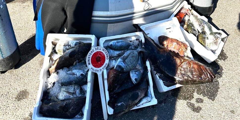 adn24 messina | pesca illegale 23 chili di pesce sequestrati dalla polizia