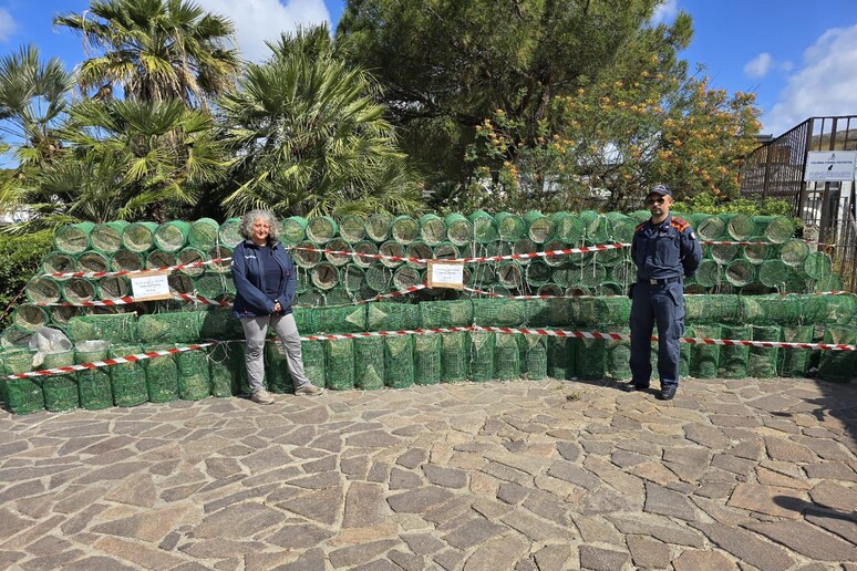 adn24 ischia | sequestrate 400 nasse non segnalate