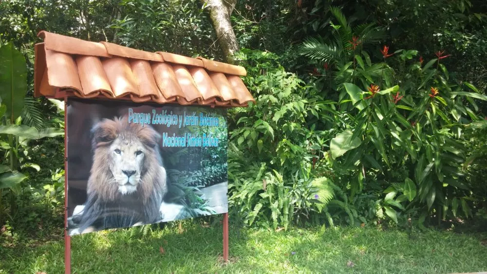 adn24 la costa rica chiude agli zoo