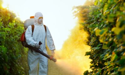  ‣ adn24 agricoltura del nuovo millennio: un olio potrebbe sostituire i pesticidi