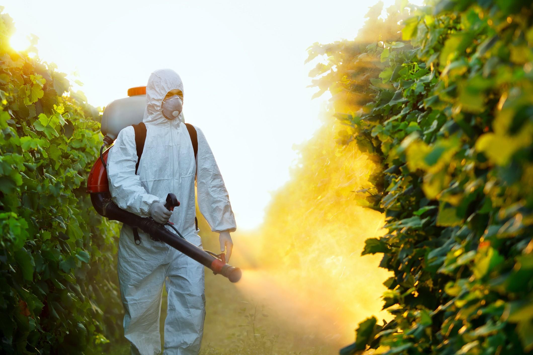 adn24 agricoltura del nuovo millennio un olio potrebbe sostituire i pesticidi