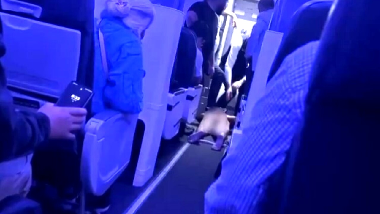  ‣ adn24 australia | uomo nudo in aereo: volo costretto a fare dietrofront