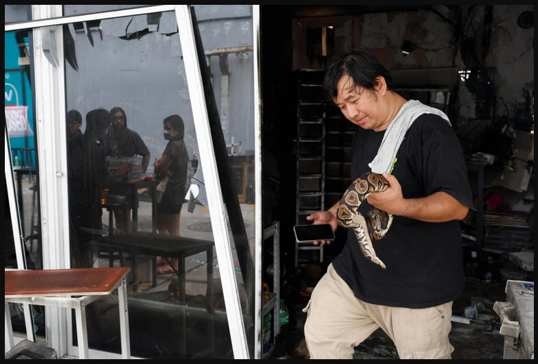  ‣ adn24 incendio al mercato di chatuchak: oltre 1000 animali morti, indagini in corso