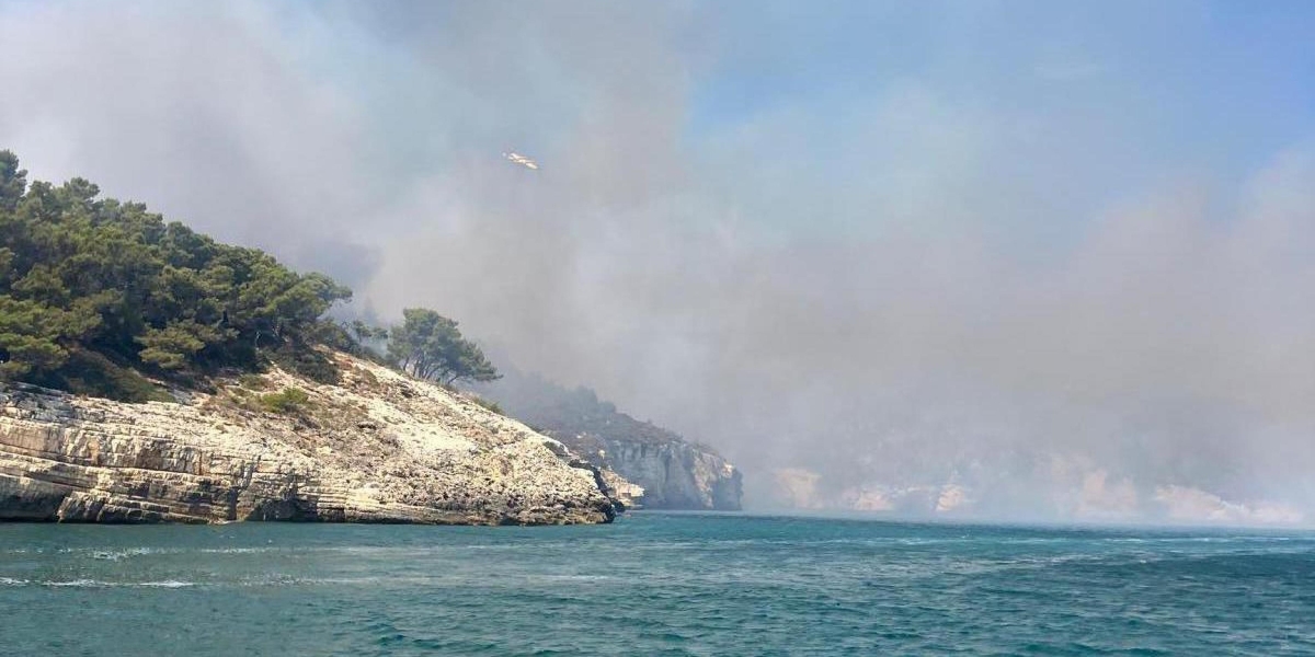 adn24 vieste | incendio nel gargano emergenza rientrata al via la bonifica