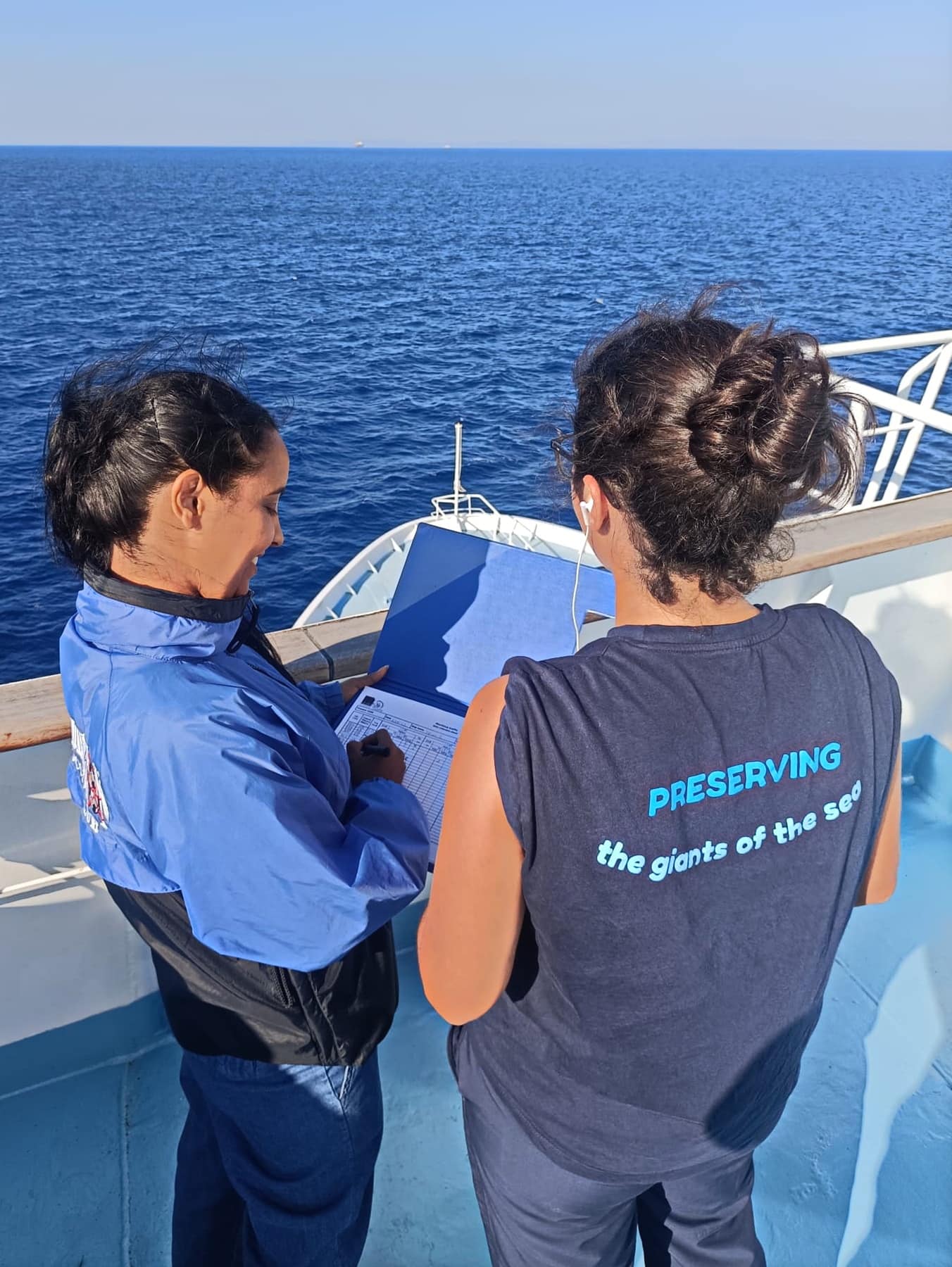 adn24 genova | a est del santuario pelagos monitoraggi continui per tutelare i cetacei