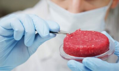  ‣ adn24 carne sintetica: start-up francese gourmey richiede autorizzazione alla ue