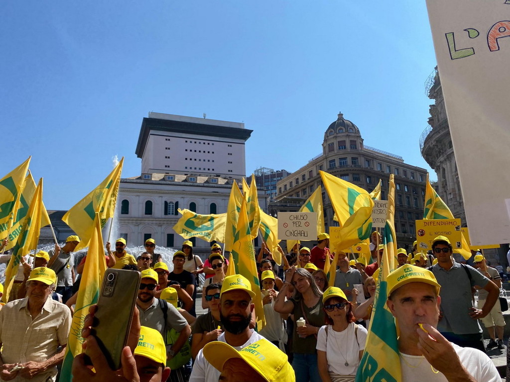 adn24 genova | troppi cinghiali devastano il raccolto coldiretti protesta sotto la regione