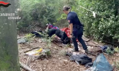  ‣ adn24 verbania | nuovo blitz nel bosco dello spaccio: arrestati 2 pusher e sequestrata droga