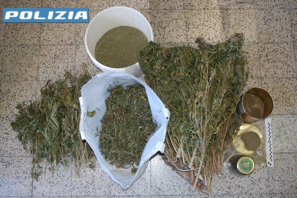 adn24 savona | cinquantaduenne nascondeva un tesoretto arrestato dalla polizia con 3 chili di marijuana