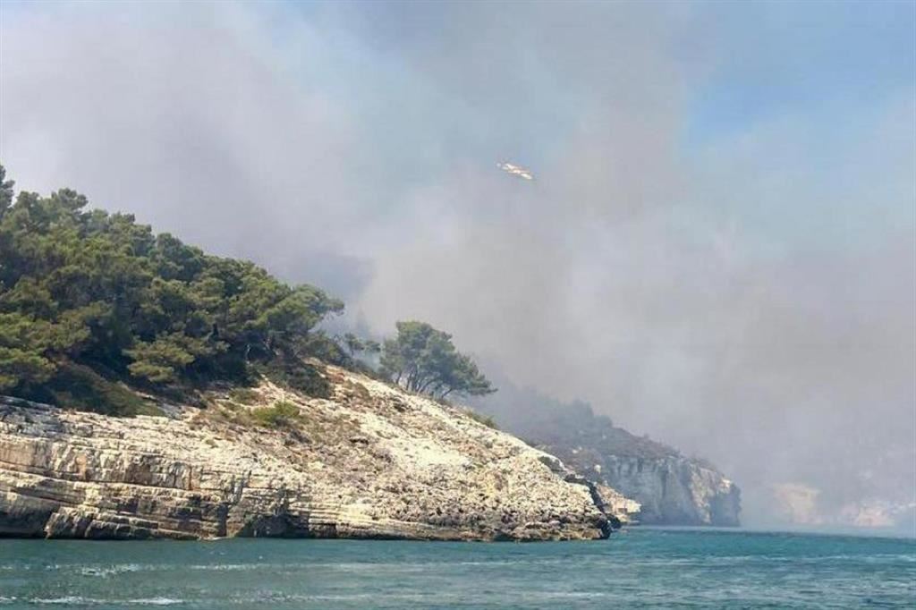 adn24 incendio vieste | si lavora ad ultime bonifiche dopo la fine dellemergenza