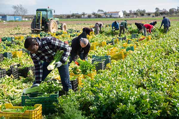 adn24 taranto | bracciante morto nei campi il 26 maggio scorso indagato il datore di lavoro