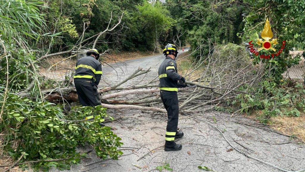 adn24 ancona | forte vento colpisce tutta la provincia decine di interventi dei vigili del fuoco