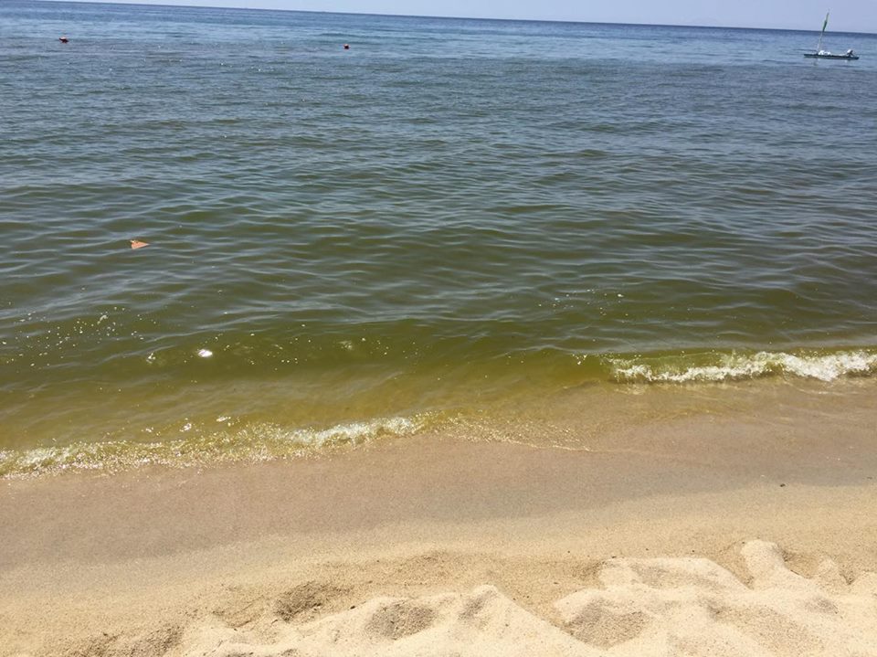 adn24 pizzo vv | mare verde la rabbia di turisti e residenti