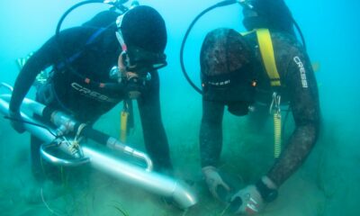  ‣ adn24 terna avvia in sicilia il trapianto sperimentale di cymodocea nodosa