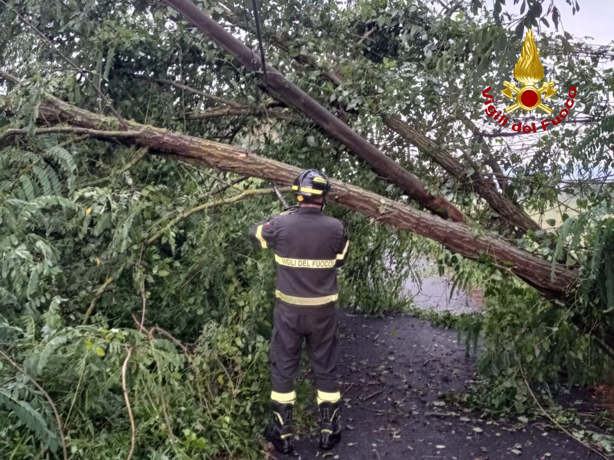 adn24 emergenza maltempo a pisa | vigili del fuoco impegnati in numerosi interventi