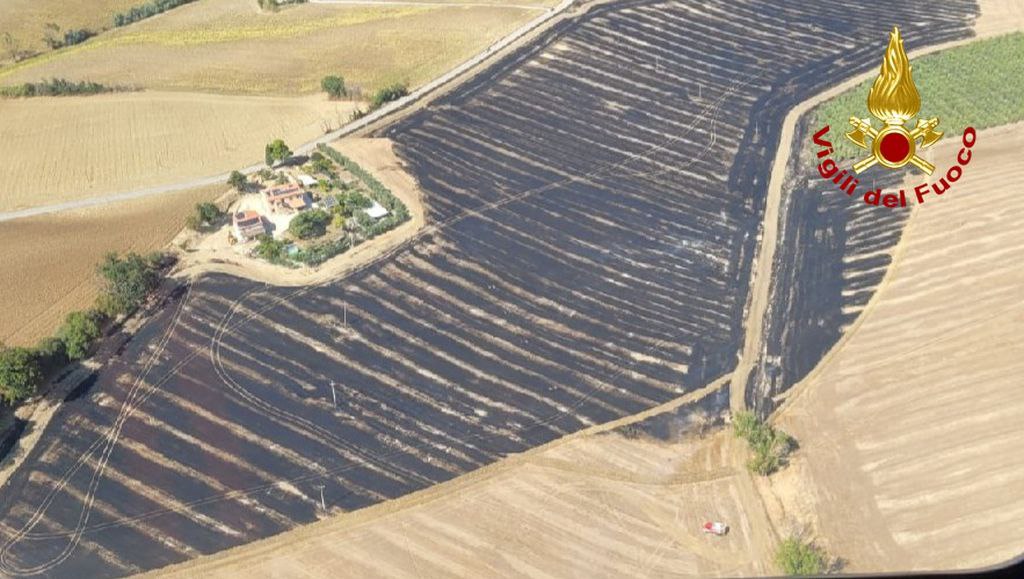 adn24 incendio a recanati macerata | bruciano dieci ettari di terreno agricolo