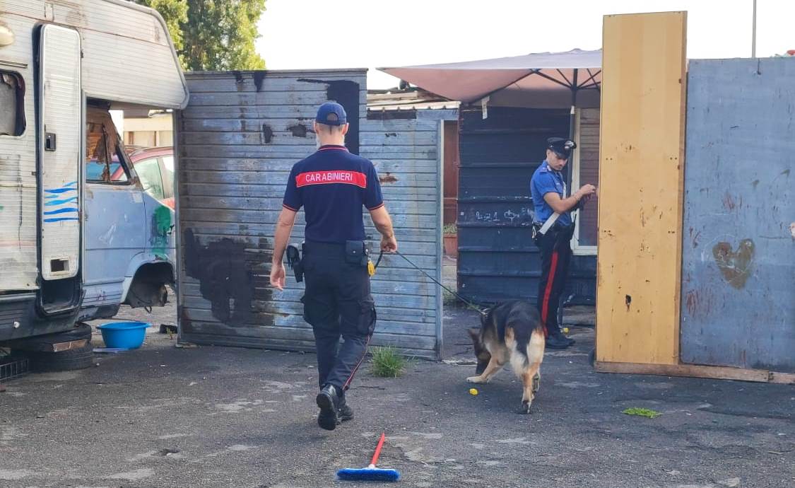 adn24 roma | maxi blitz dei carabinieri nel campo di via candoni controllate 194 persone foto