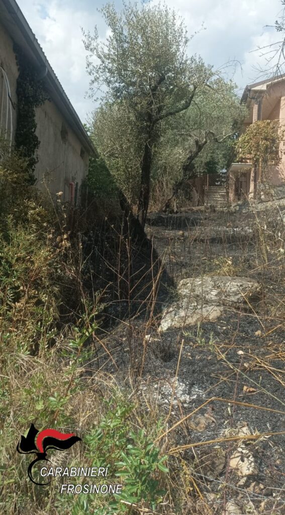 adn24 frosinone | incendio a fontana liri danni ingenti e un indagato per negligenza