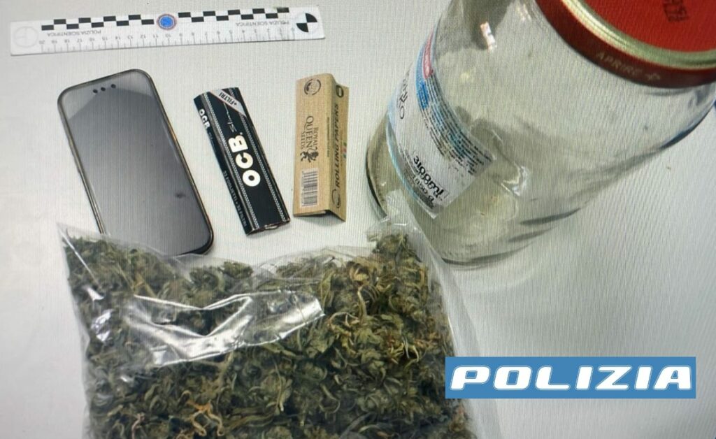 adn24 caserta | piante di marjuana in giardino denunciato 23enne