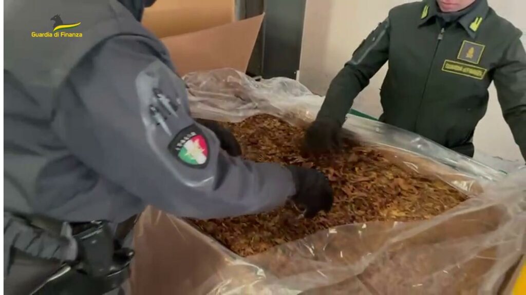 adn24 pordenone | arrestato in romania il responsabile del deposito illegale di tabacchi scoperto a gennaio video