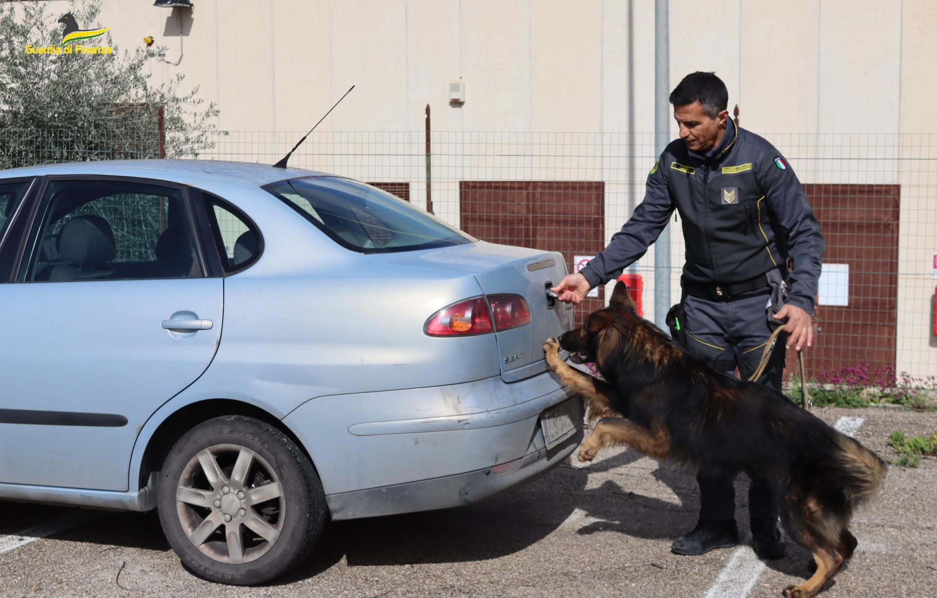 adn24 taranto | blitz antidroga segnalate tredici persone