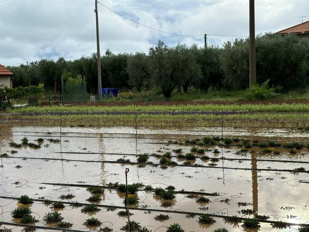 adn24 albenga sv | per lalluvione i danni ammontano a oltre 25 milioni di euro